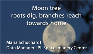 Moon tree roots dig branches reach towards home, haiku by Maria Schuchardt